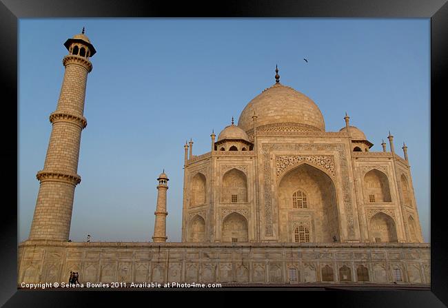 Taj Mahal in the Morning Light, Agra, India Framed Print by Serena Bowles