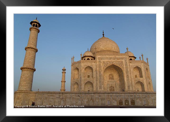 Taj Mahal in the Morning Light, Agra, India Framed Mounted Print by Serena Bowles