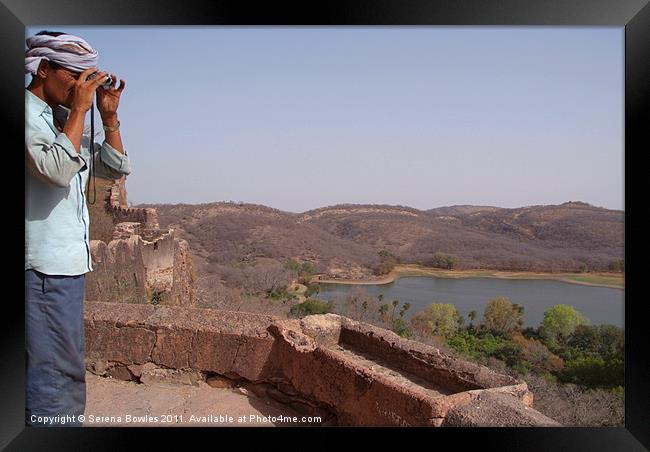 Looking out from Ranthambore Fort, Rajasthan, Indi Framed Print by Serena Bowles