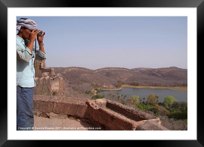 Looking out from Ranthambore Fort, Rajasthan, Indi Framed Mounted Print by Serena Bowles