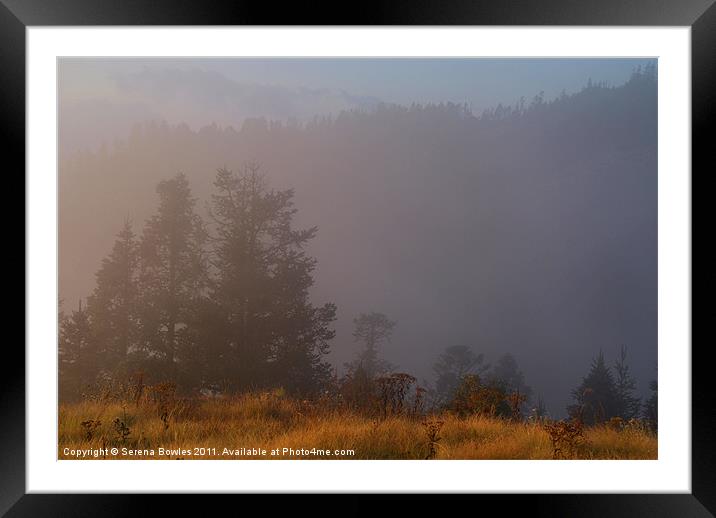 Morning Mist Poon Hill, Himalayas, Nepal Framed Mounted Print by Serena Bowles