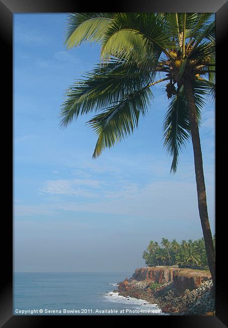 Palm Trees on the Cliff Varkala Framed Print by Serena Bowles