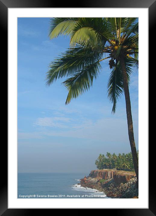 Palm Trees on the Cliff Varkala Framed Mounted Print by Serena Bowles