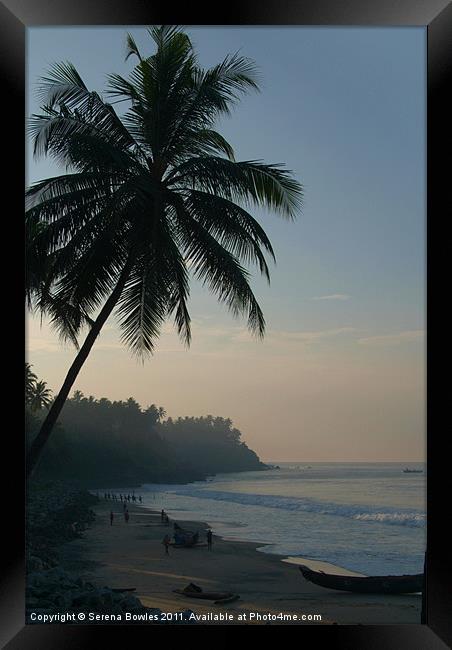 Palm Trees and Varkala Beach, Kerala, India Framed Print by Serena Bowles
