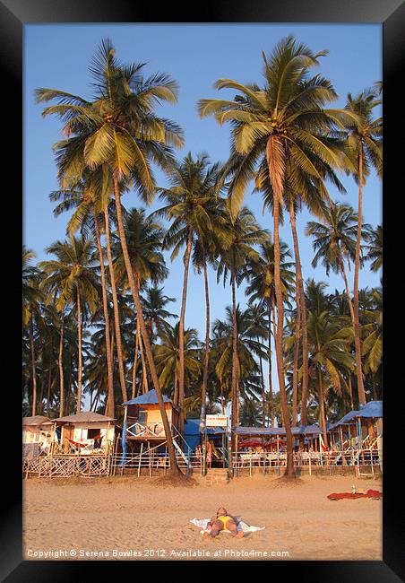 Palm Lined Beach Palolem Framed Print by Serena Bowles
