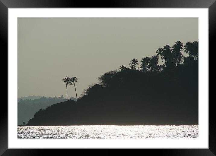 Palm Trees on Monkey Island Framed Mounted Print by Serena Bowles