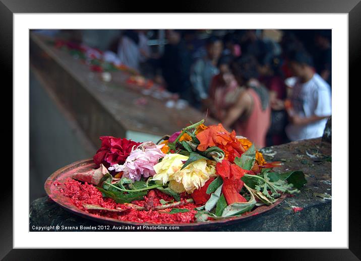 Offerings at Dakshinkali Framed Mounted Print by Serena Bowles