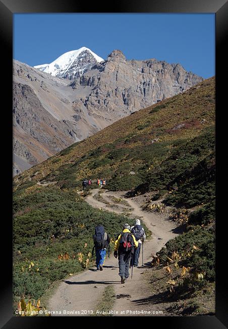 Trekkers on the Annapurna Circuit Framed Print by Serena Bowles