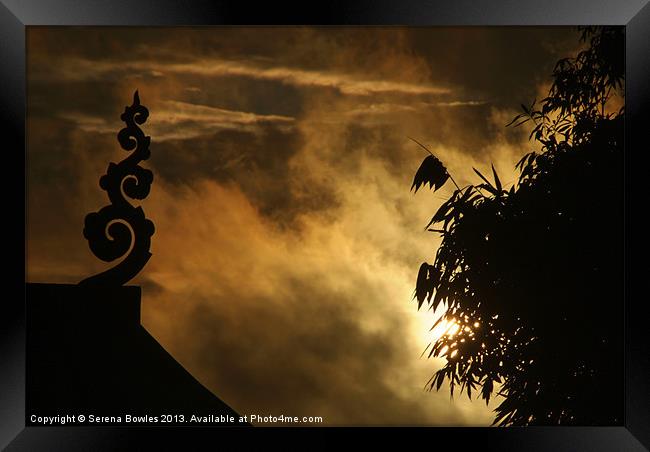 Temple Finial and Bamboo at Dawn Framed Print by Serena Bowles