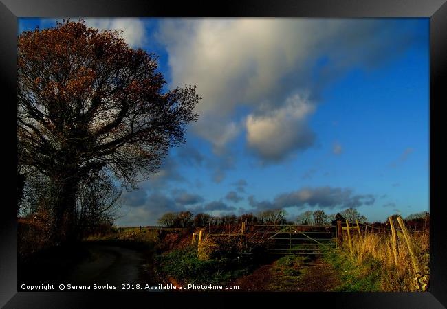 Blue Skies and Clouds above Kent Country Lane and  Framed Print by Serena Bowles