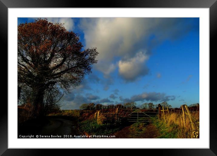 Blue Skies and Clouds above Kent Country Lane and  Framed Mounted Print by Serena Bowles
