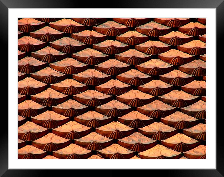 Red Roof Tiles Framed Mounted Print by Serena Bowles