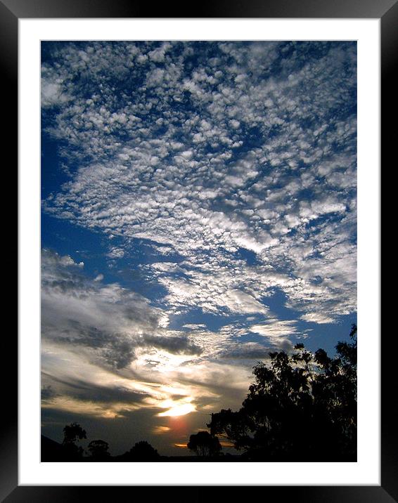 Australian Sky Framed Mounted Print by Serena Bowles