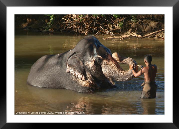 Elephant Bathtime Framed Mounted Print by Serena Bowles