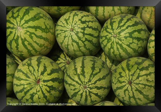 Watermelons for Sale Framed Print by Serena Bowles