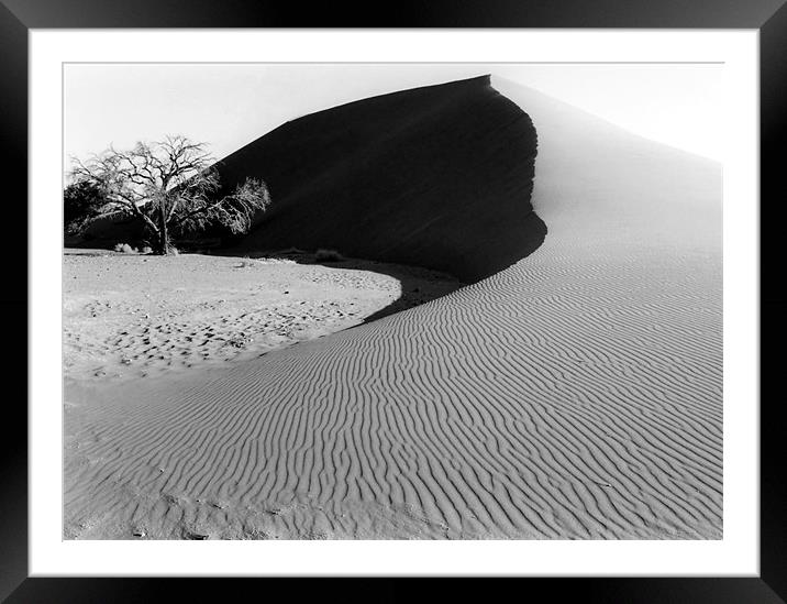 Dune 45 and a Lonesome Tree Framed Mounted Print by Serena Bowles