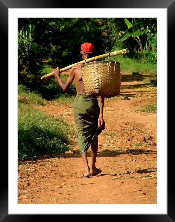 Man in Lungi Walking with Basket, Myanmar (Burma) Framed Mounted Print by Serena Bowles