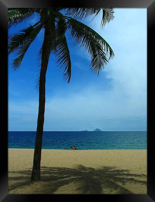 Paradise Palm Framed Print by Serena Bowles