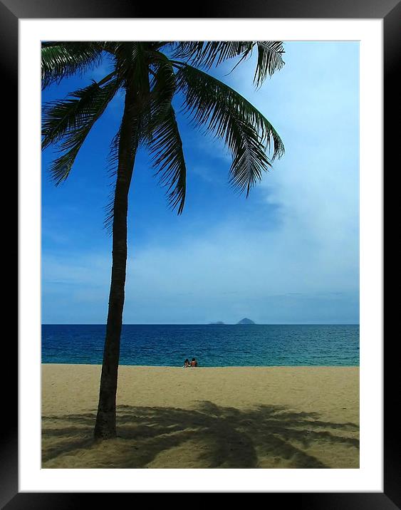 Paradise Palm Framed Mounted Print by Serena Bowles