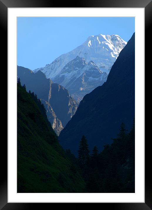 Pines and Mountains near Dharapani Framed Mounted Print by Serena Bowles