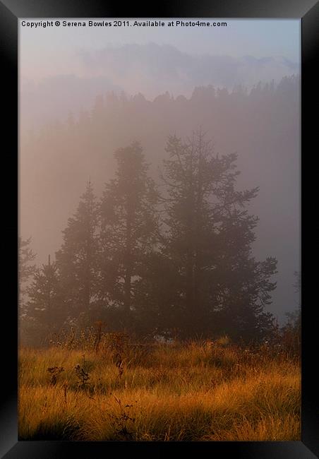 Morning Mist Poon Hill Framed Print by Serena Bowles