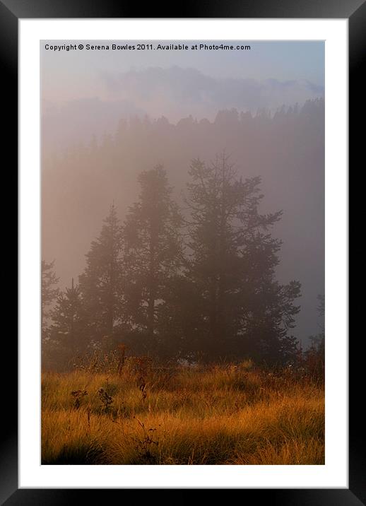 Morning Mist Poon Hill Framed Mounted Print by Serena Bowles