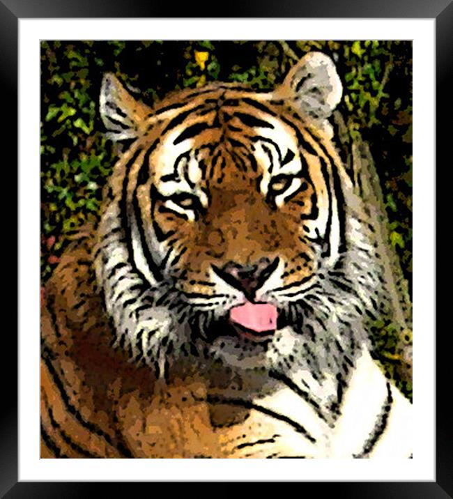 Tiger Framed Mounted Print by Zoe Anderson