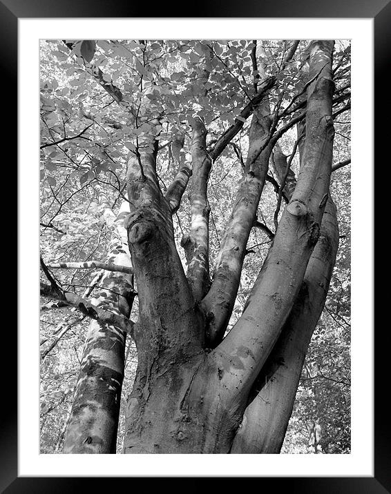 Trunk Time Framed Mounted Print by Louise Godwin