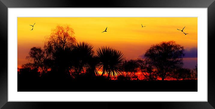 Glorious Sunset Sky Framed Mounted Print by Louise Godwin