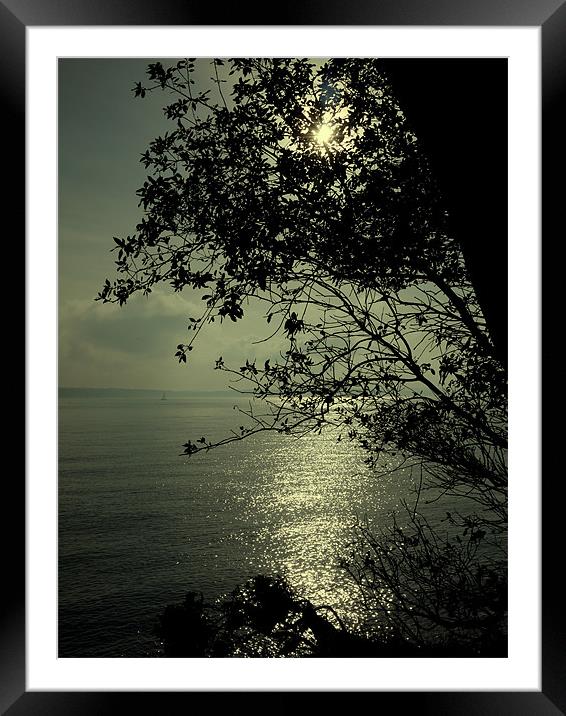 Reflection Through Trees Framed Mounted Print by Louise Godwin