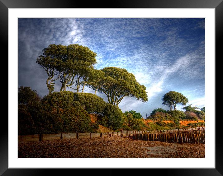 Lepe Country Park Framed Mounted Print by Louise Godwin