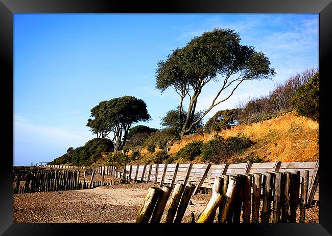 Lepe Country Park Framed Print by Louise Godwin