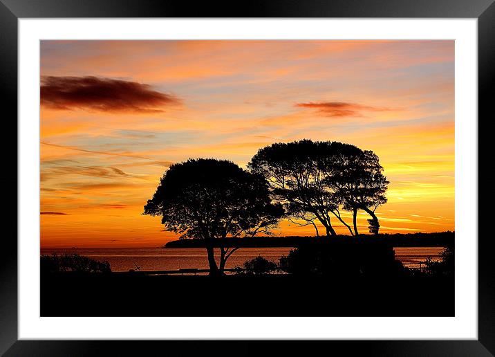 On Top Of Lepe Framed Mounted Print by Louise Godwin