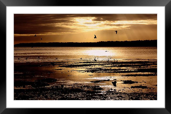 Bronzing Glimmer Framed Mounted Print by Louise Godwin
