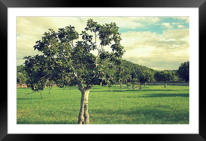 In The Orchard Framed Mounted Print by Louise Godwin