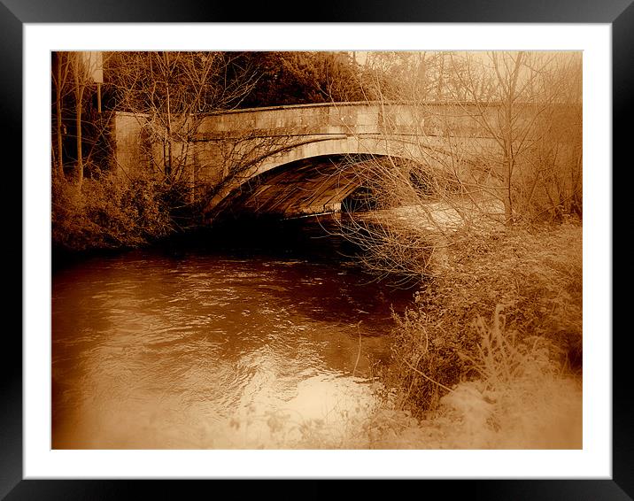 Nostalgic Bridge Framed Mounted Print by Louise Godwin