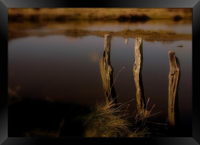 River Sticks Framed Print by Louise Godwin