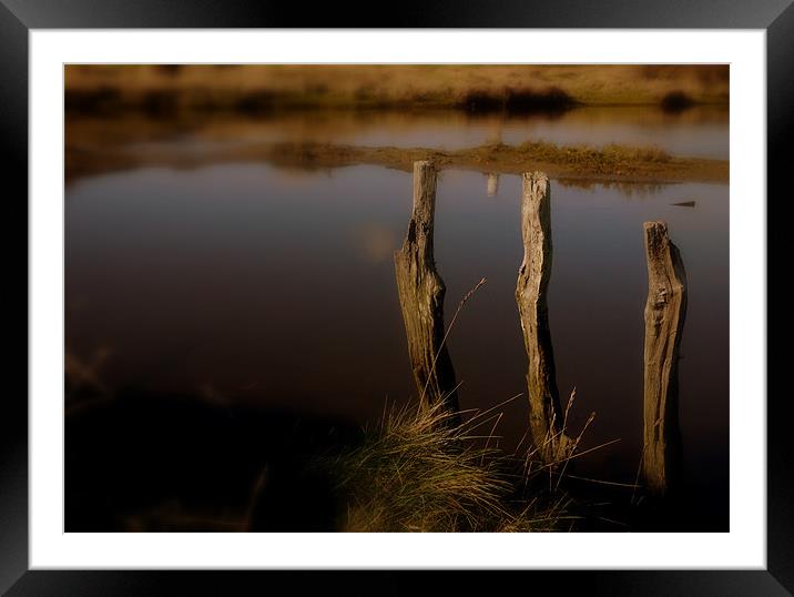 River Sticks Framed Mounted Print by Louise Godwin