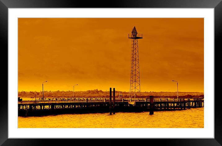 Endangered Pier Framed Mounted Print by Louise Godwin