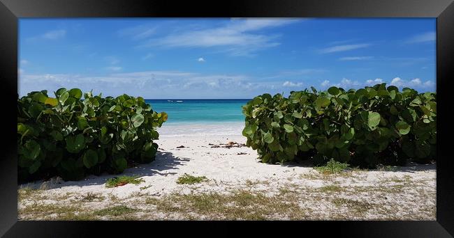 Barbados Magic Framed Print by Louise Godwin