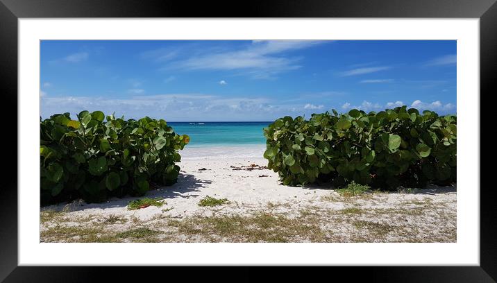 Barbados Magic Framed Mounted Print by Louise Godwin