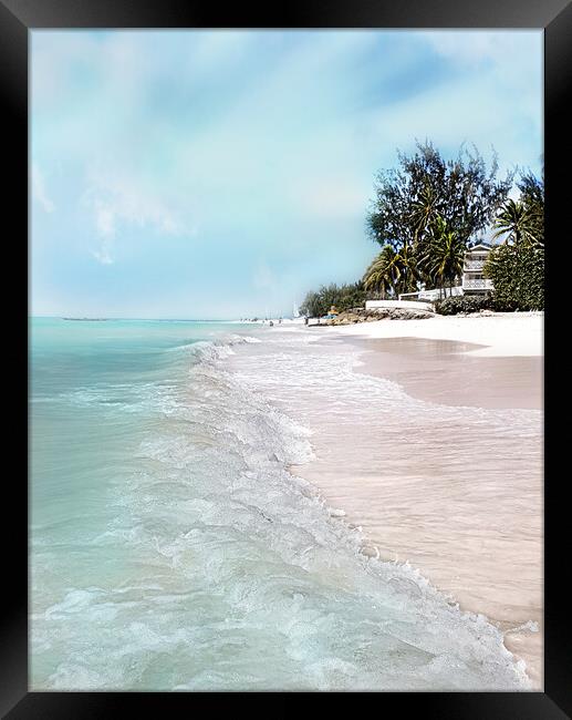 Barbados Beauty Framed Print by Louise Godwin