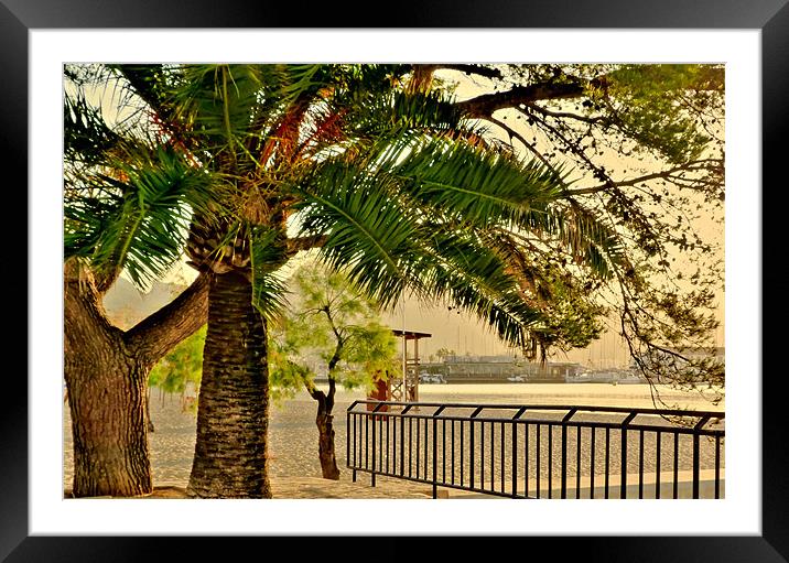 Beyond The Palm Trees Framed Mounted Print by Louise Godwin
