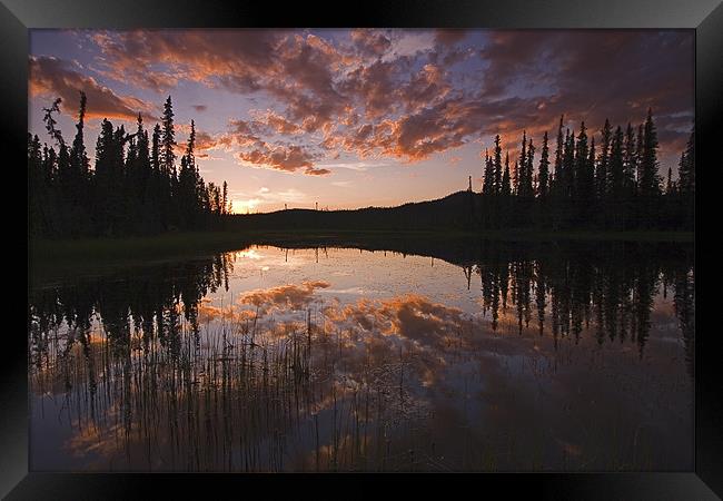 Yukon nights  Framed Print by Thomas Schaeffer