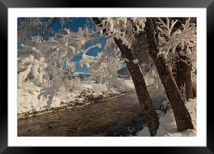 Alpine winter morning Framed Mounted Print by Thomas Schaeffer