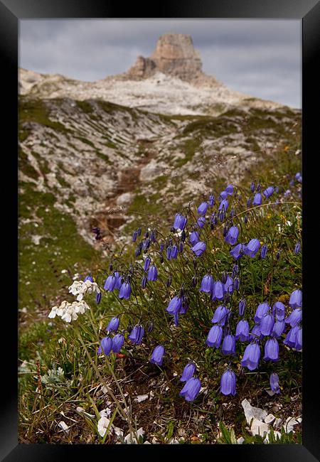 Blooming moutains Framed Print by Thomas Schaeffer