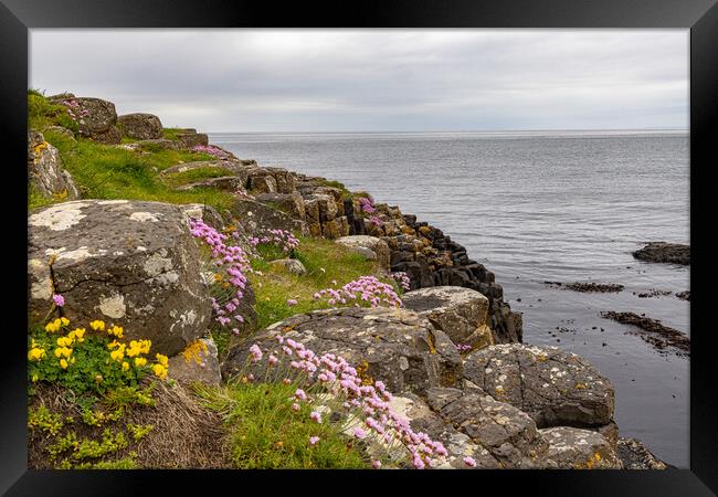 Giants Causeway Framed Print by Thomas Schaeffer