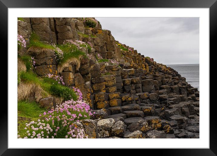 Giants Causeway Framed Mounted Print by Thomas Schaeffer