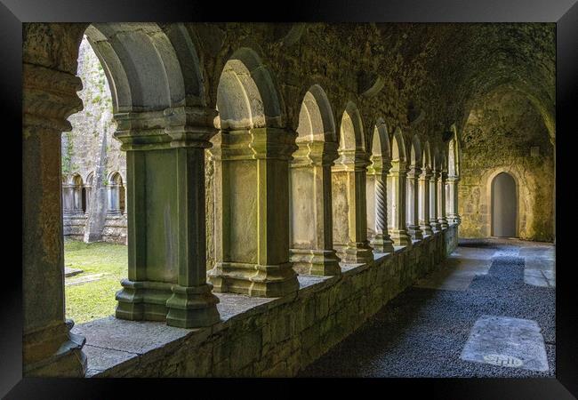 Quin Abbey Framed Print by Thomas Schaeffer