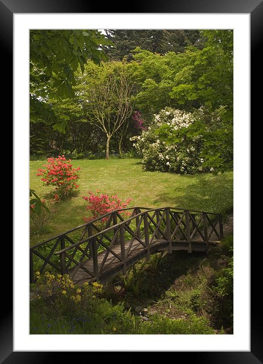 Armadale gardens Framed Mounted Print by Thomas Schaeffer
